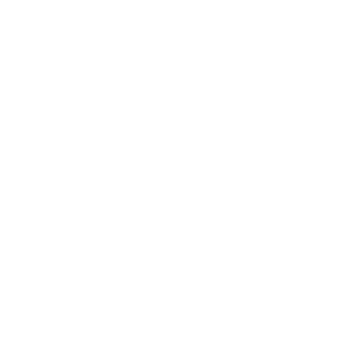 Brand Promo Videos