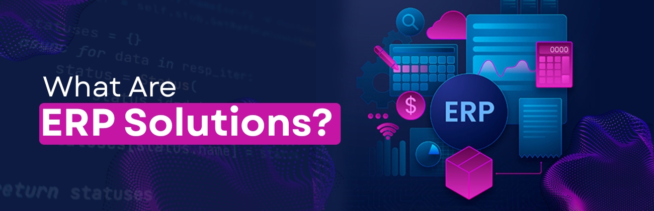 What Are ERP Solutions