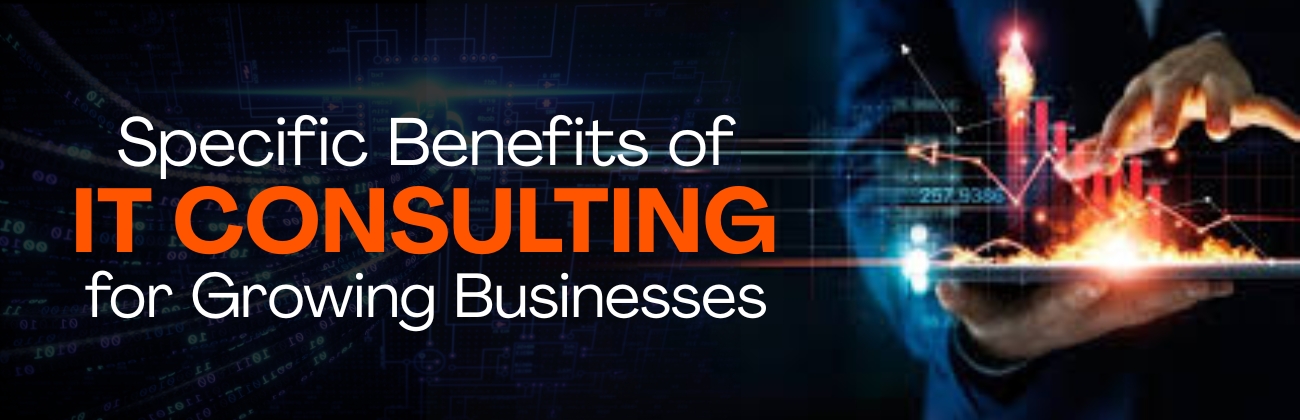 Specific Benefits of IT Consulting for Growing Businesses