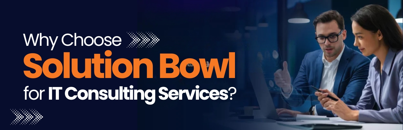 Why Choose Solution Bowl for IT Consulting Services